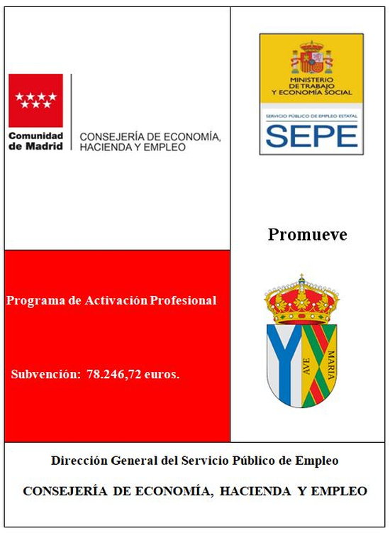 CARTEL ACTIVACIÓN PROFESIONAL